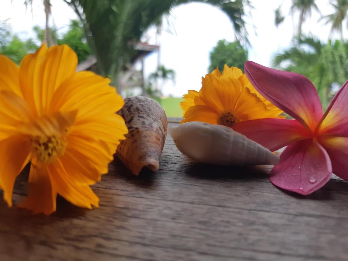 Daluyong Beach Resort General Luna  Dış mekan fotoğraf