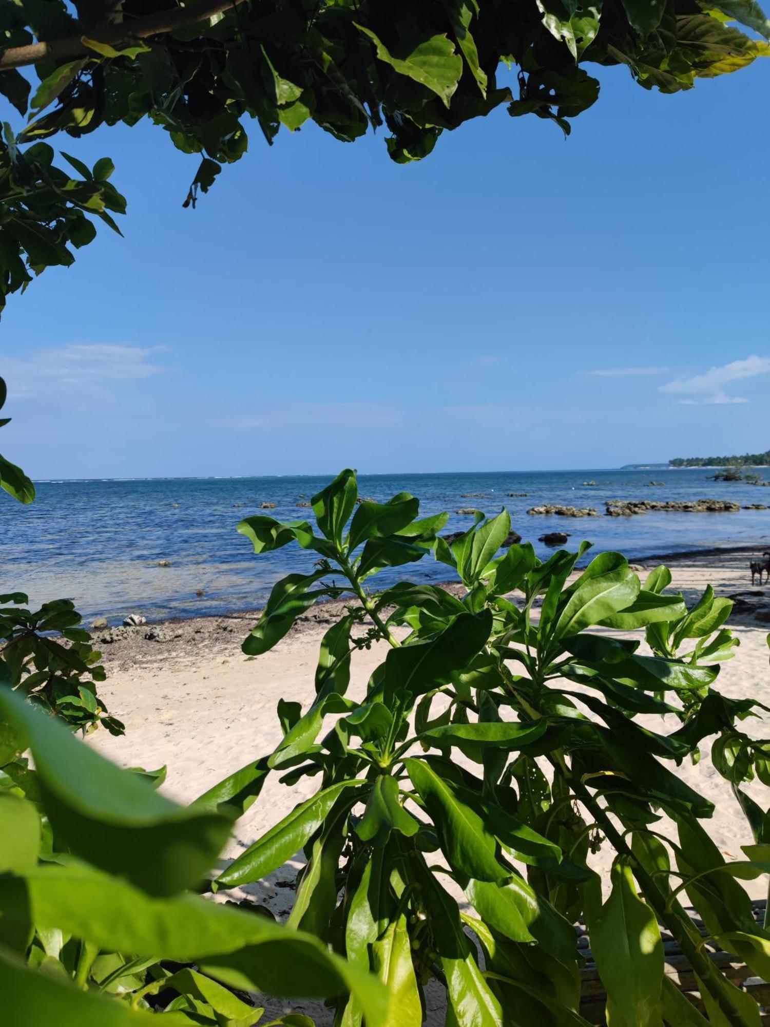 Daluyong Beach Resort General Luna  Dış mekan fotoğraf