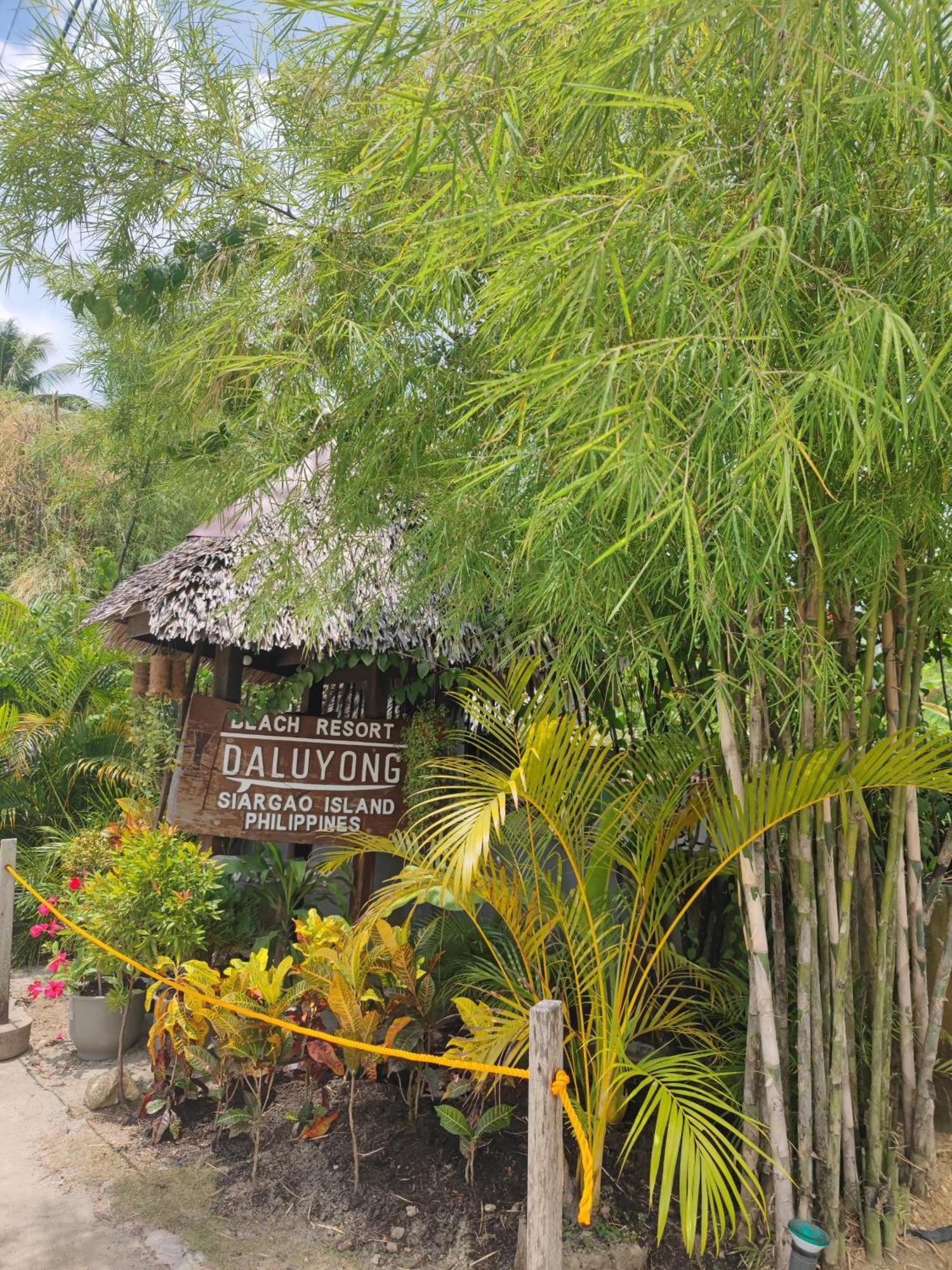 Daluyong Beach Resort General Luna  Dış mekan fotoğraf